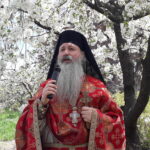 Predică în Duminica a 34 a după Rusalii a Întoarcerii Fiului risipitor